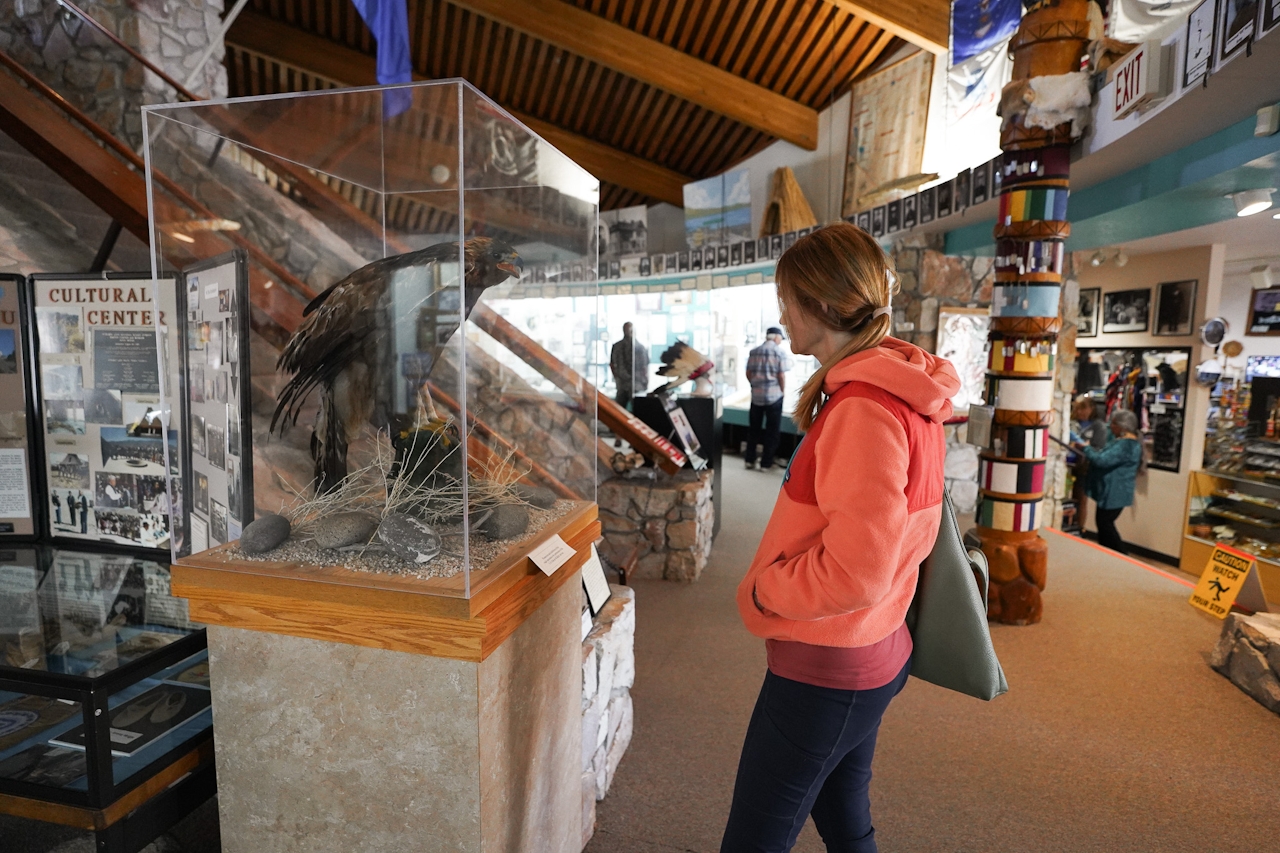 A woman is looking at a museum exhibit of a taxidermy bald eagle at the Pyramid Lake Museum and Visitor Center 