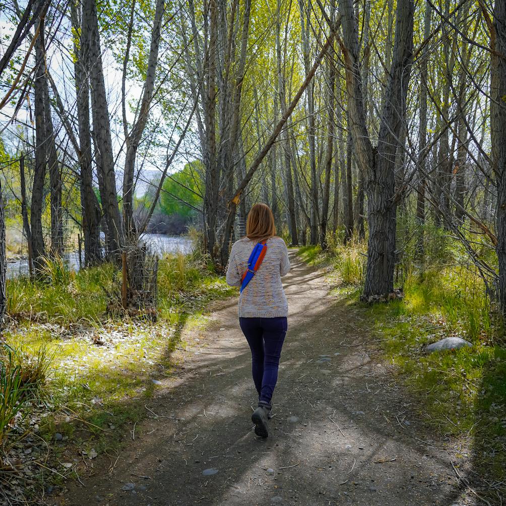 A woman walks the one-mile trail amid green trees at the Oxbow Nature Study Area in REno 