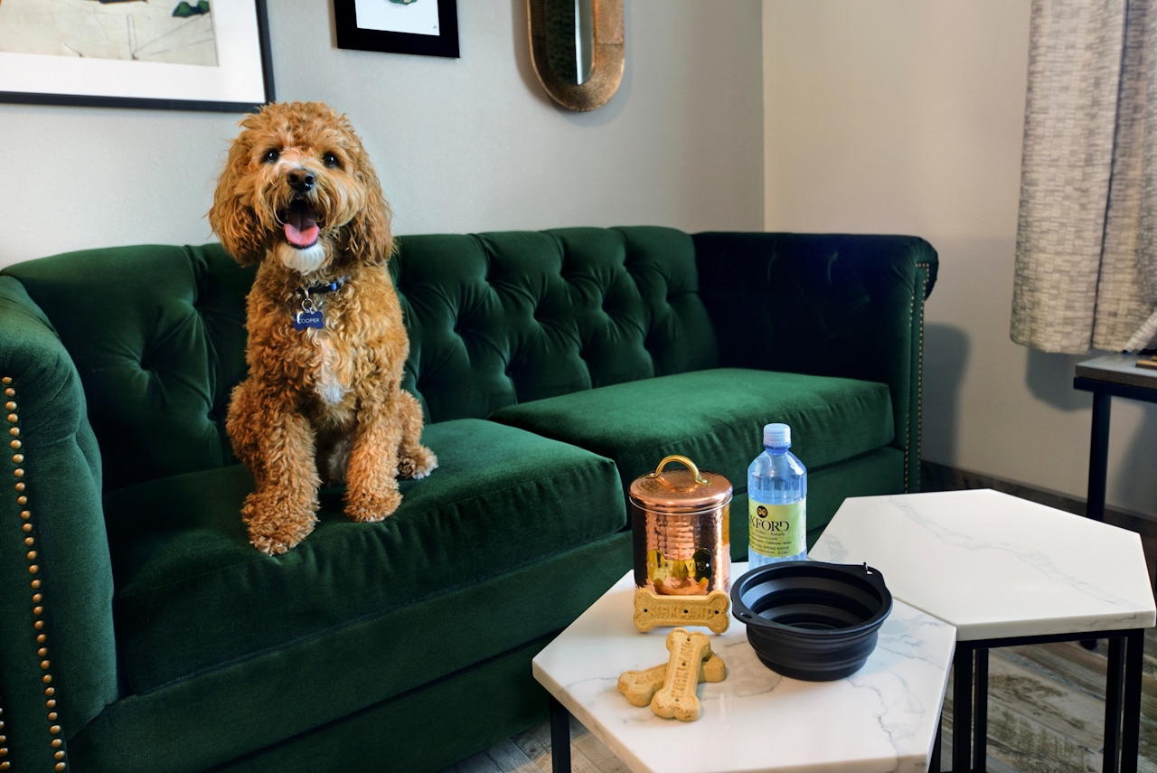 Oxford Suites Paso Robles