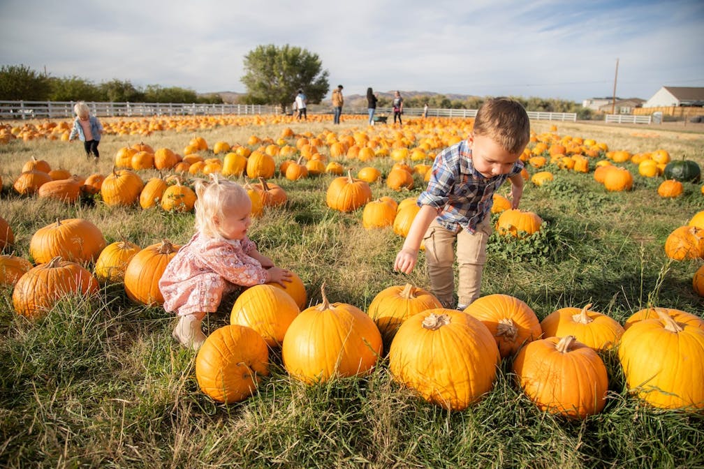 Chase Fall Colors & Family Fun in Reno Tahoe