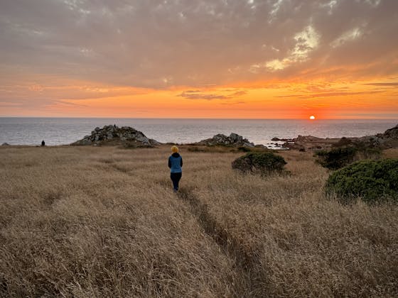 sunset at salt point