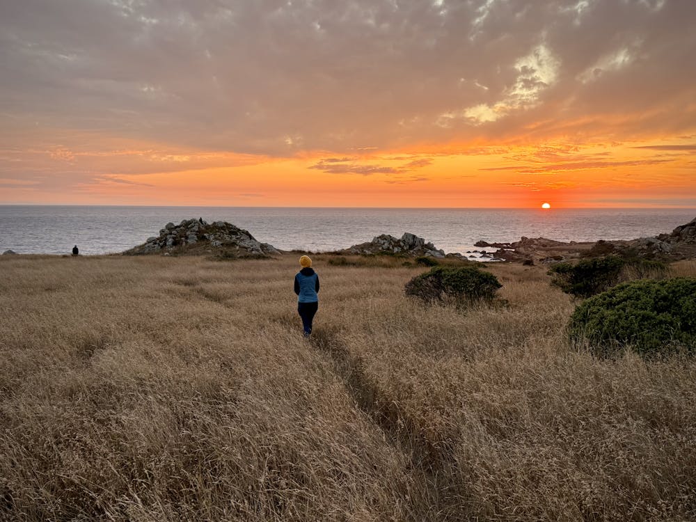 sunset at salt point