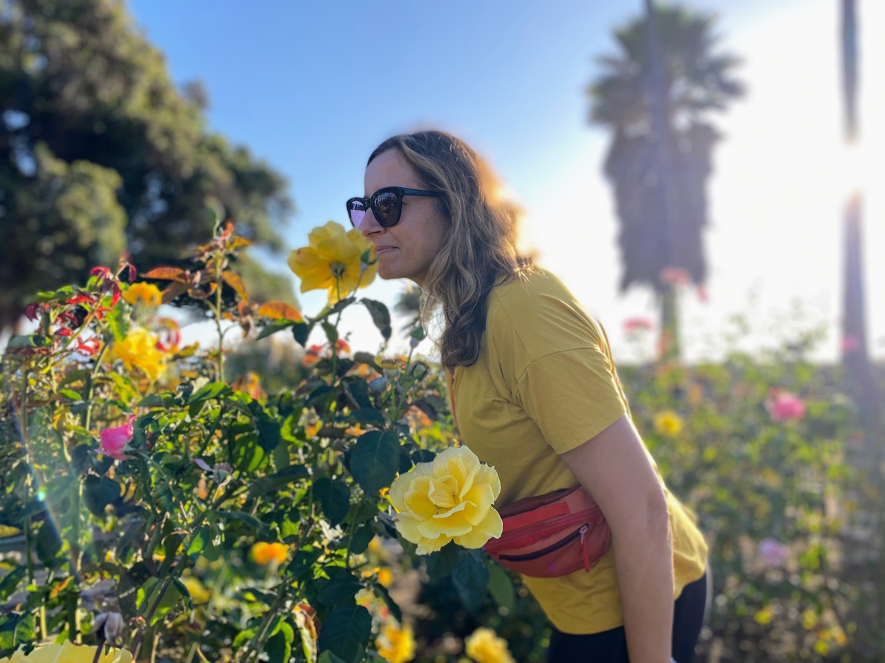 A woman leans in to smell yellow flowers lining Palisades Park in Santa Monica