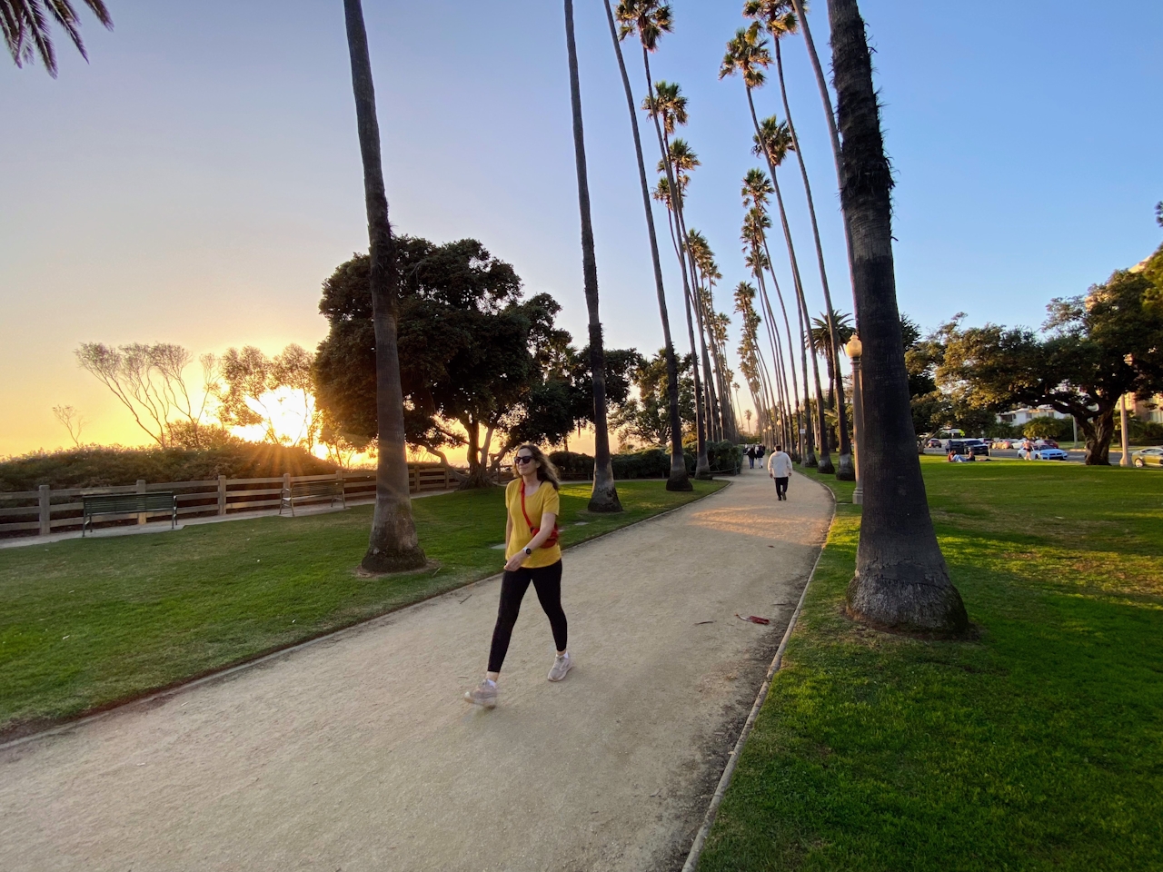 A woman walks the sidewalk strand next to the beach and flanked by Palm Trees at Palisades Park in Santa Monica