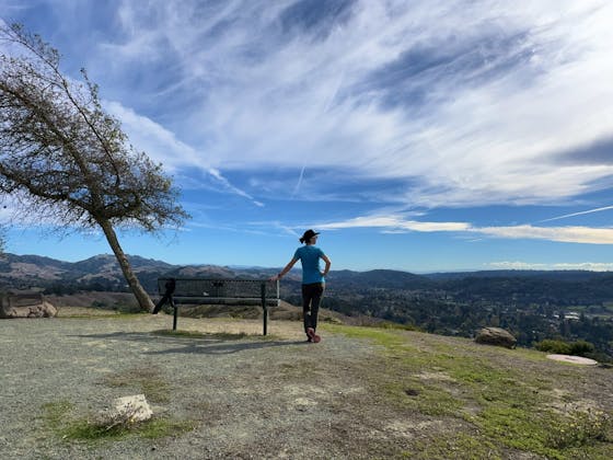 A woman looks out to the scenery while standing next to a bench on a high point on a hike in Orinda Oaks Park in the East Bay