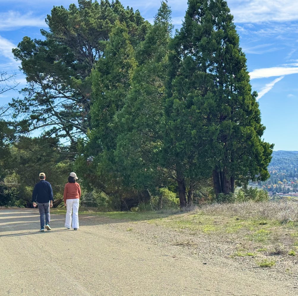 Two people walking a wide and flat trail at Orinda Oaks Park in the East Bay