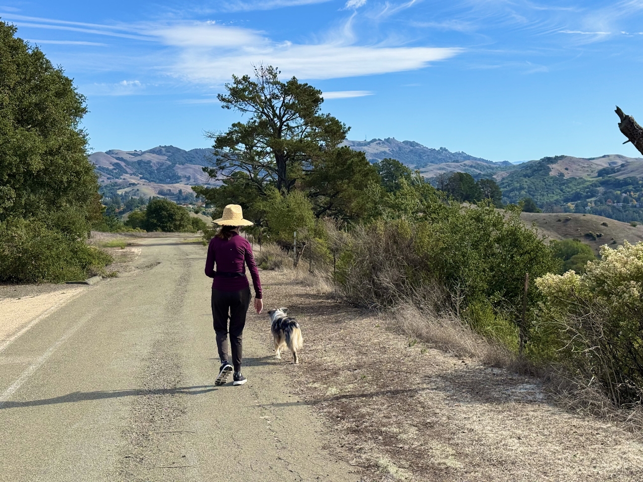 A woman walks her dog with views of the foothills in Orinda Oaks Park in the East Bay Contra Costa County