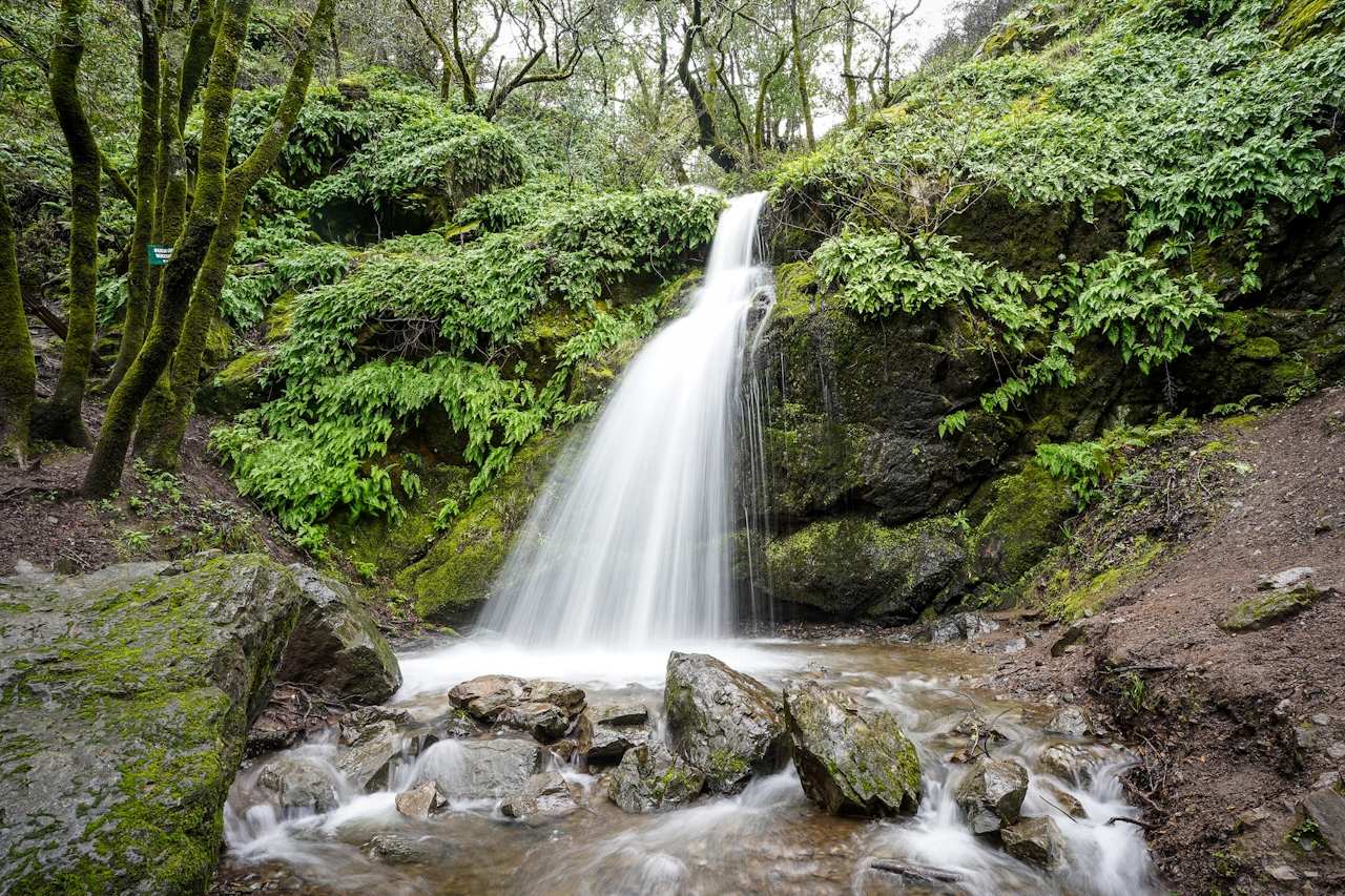 Buck Gulch Falls in Full Flow in Novato
