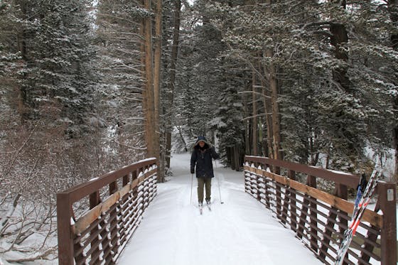 A cross-country skier gliding across a bridge at Tamarack Cross-Country Ski Resort in Mammoth Lakes.