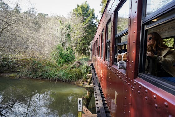 The Skunk Train in Mendocino and Fort Bragg going through redwoods