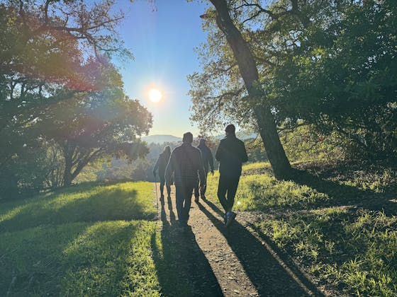 A group of friends walk a wide path surrounded by lots of trees and green grass in Heintz Open Space
