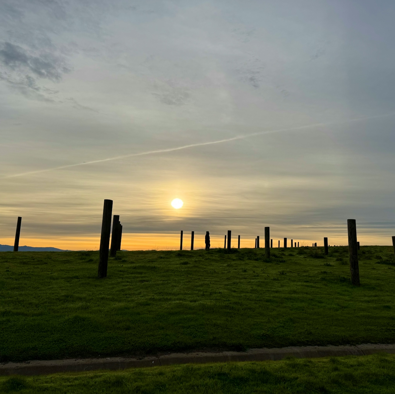 Art installations at Baylands Nature Preserve in Palo Alto 