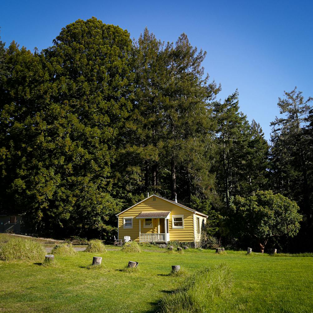 Yellow cottage with chickens out front at Mar Vista Farm and Cottages on the Mendocino Coast 