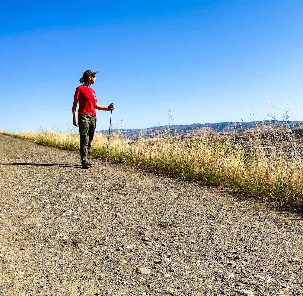 Hiker with a stick taking in the scenery from Santa Teresa County Park in San Jose 