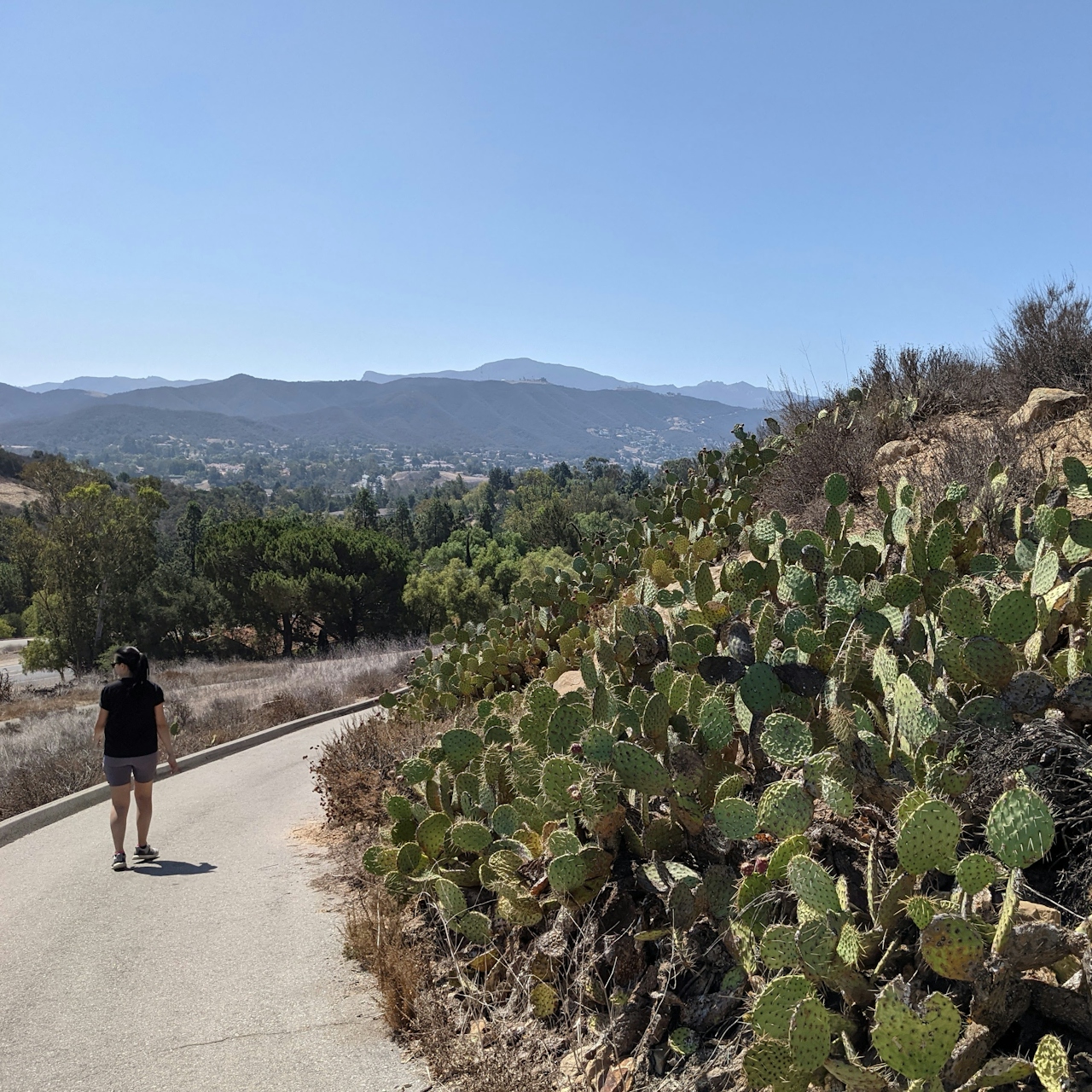 A woman walking on a trail at Tarantula Hill with cacti off to the side of the trail. 