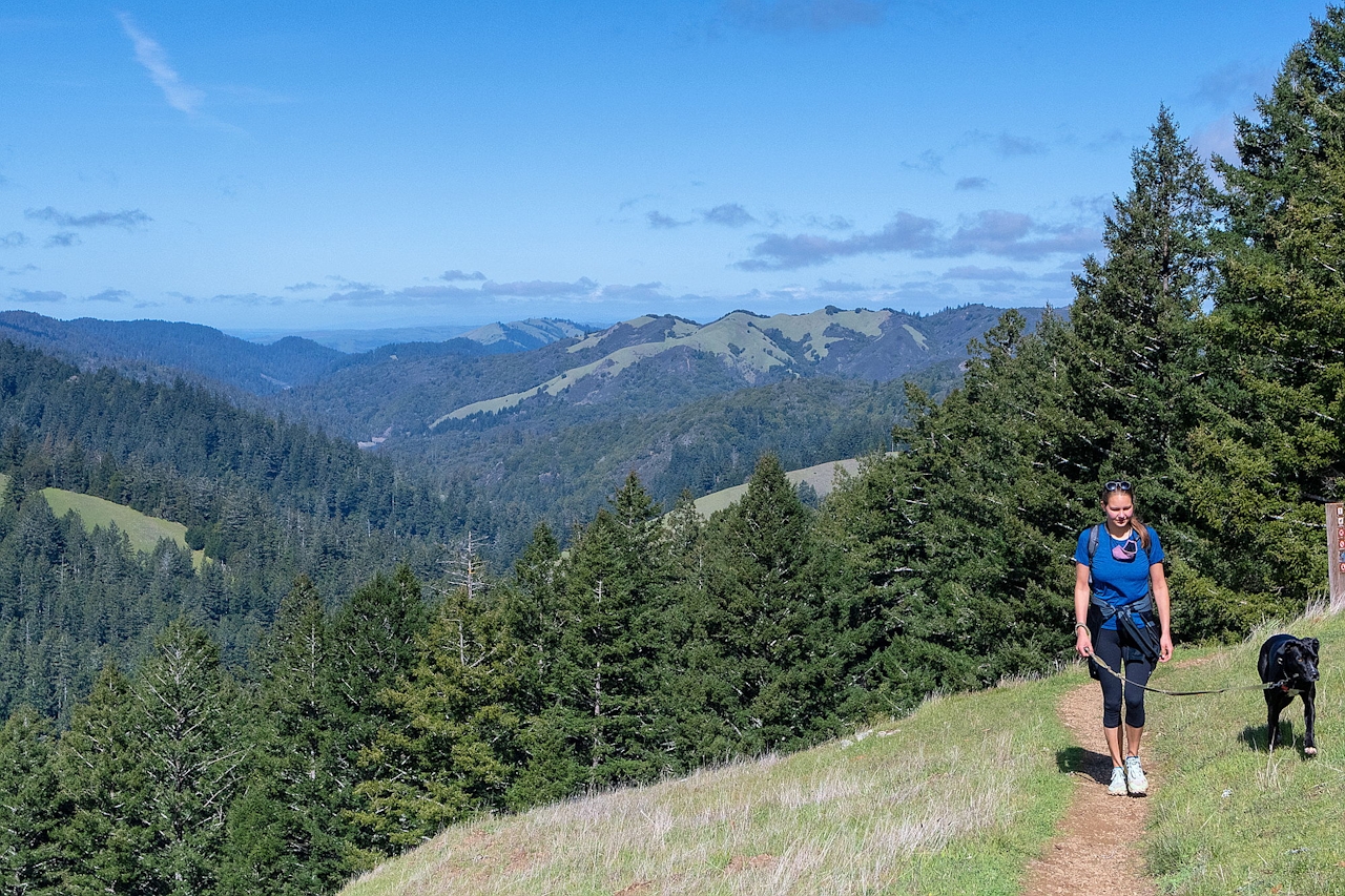 Woman walking dog over hills