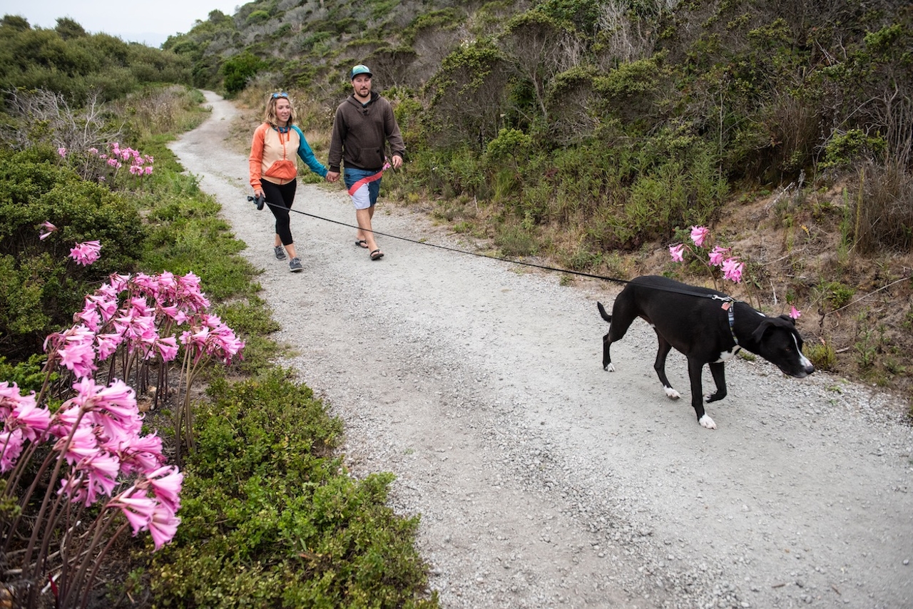 coastal hikes guide