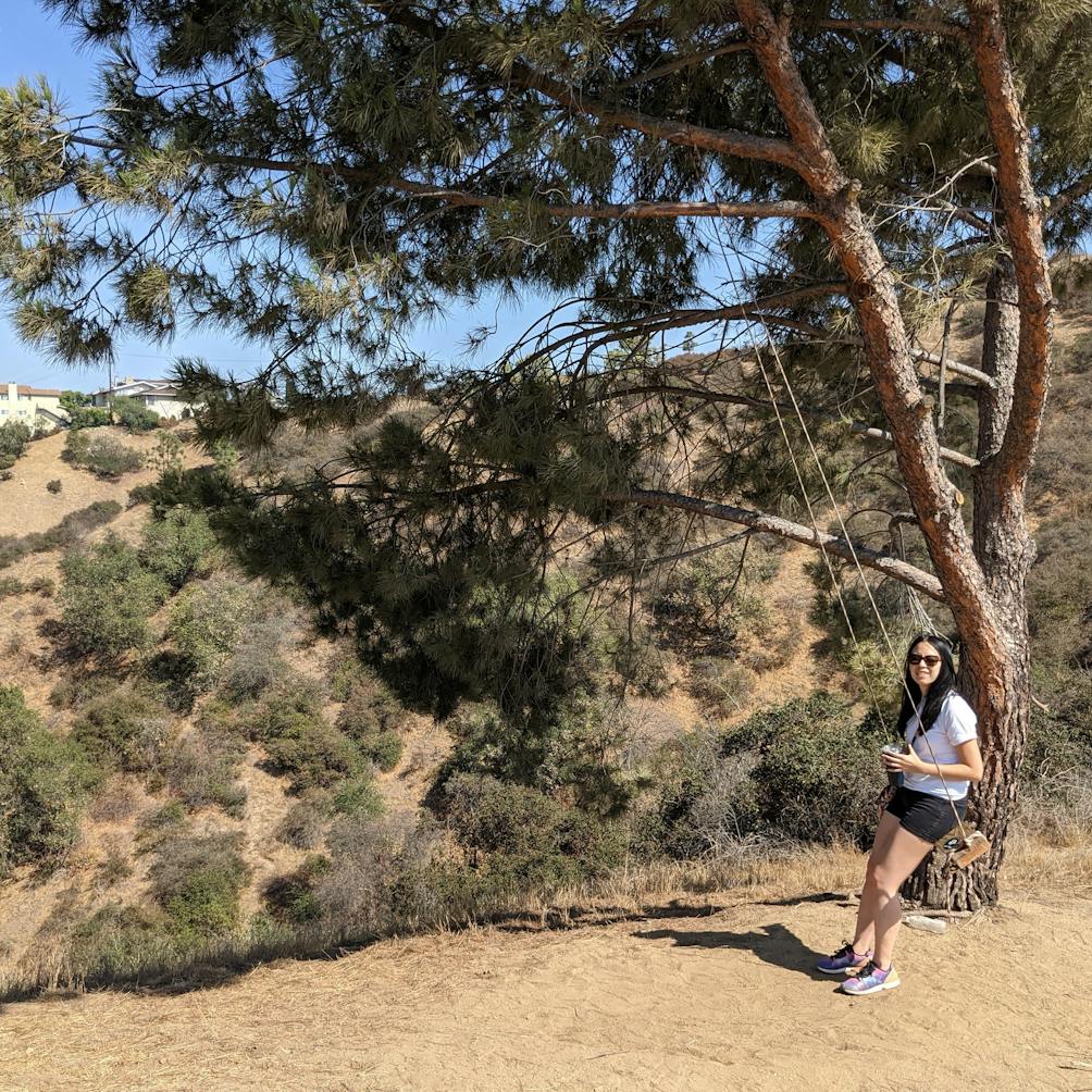 Hike at a tree swing at Fiji Hill in Los Angeles 