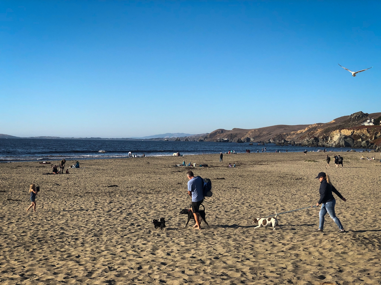 dillon beach in marin