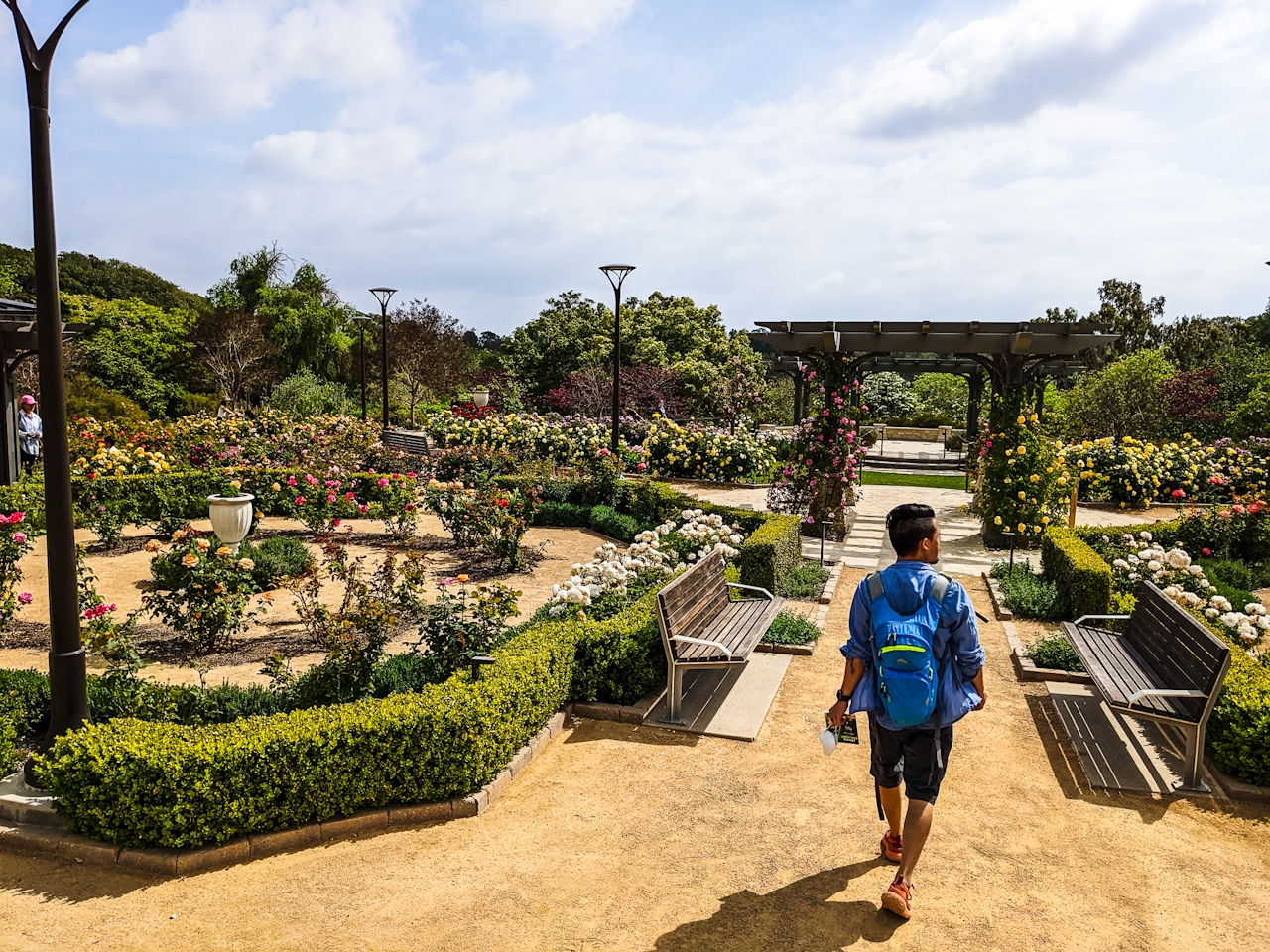 A hiker wanders into South Coast Botanic Garden in Ranchos Palos Verdes 