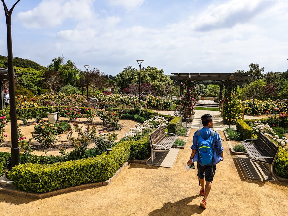 A hiker wanders into South Coast Botanic Garden in Ranchos Palos Verdes 