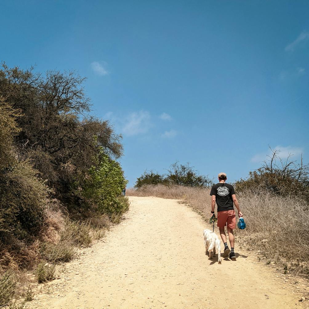 Hiker and a dog at Upper and Lower Canyonback Trails in the Santa Monica Mountains 