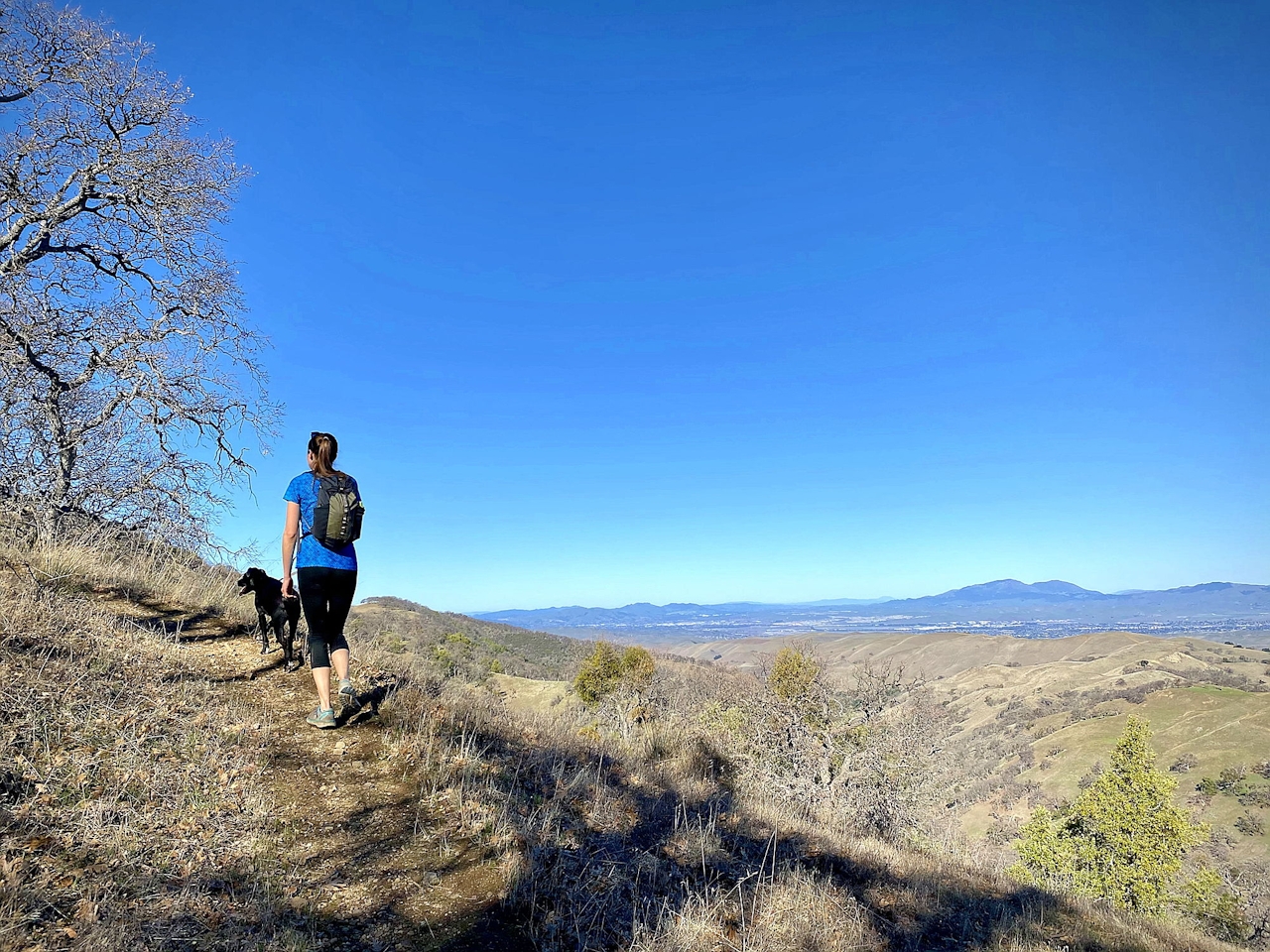 Woman hiking in the Ohlone Wilderness in the East Bay 