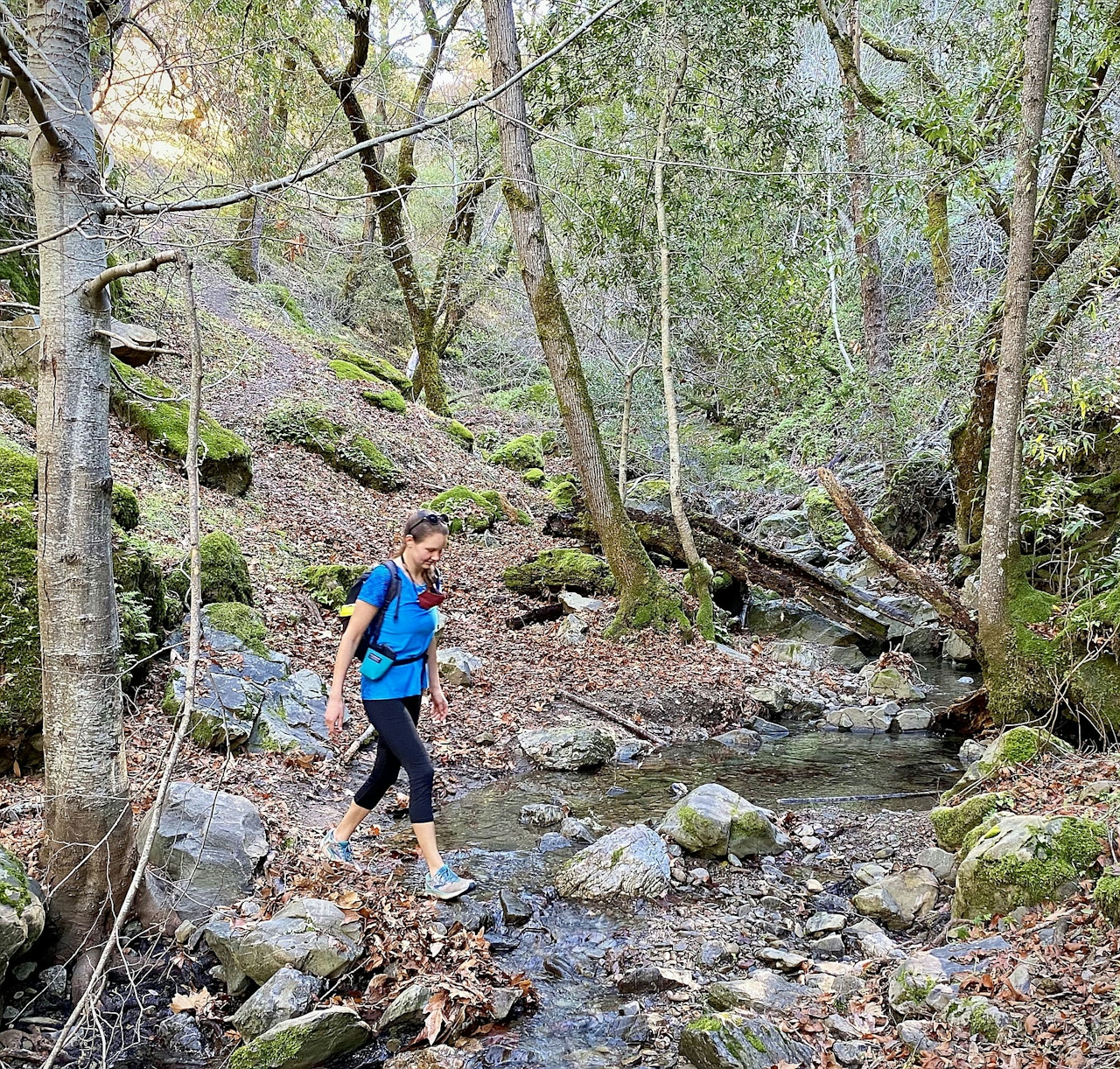 Woman hiking in the Ohlone Wilderness in the East Bay 