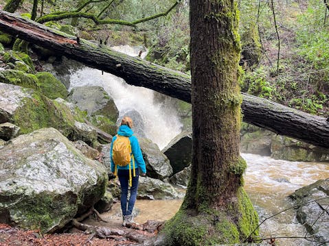 Sugarloaf Ridge State Park waterfall hike in Sonoma Valley