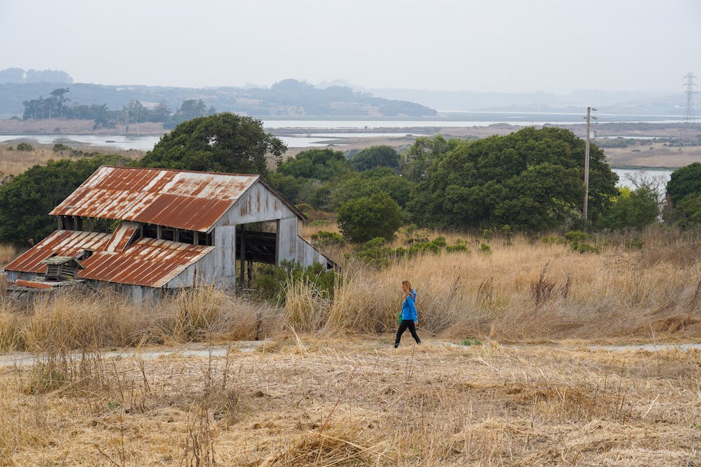 Elkhorn Slough Reserve