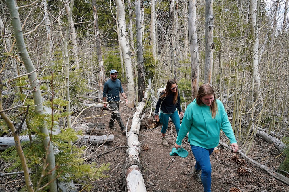 hikers on the Thomas Creek Trail in Mount Rose Wilderness Reno
