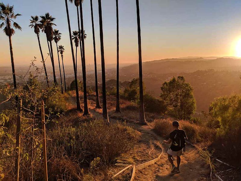 Hike the Griffith Park Classic Fern Dell to Mount Hollywood