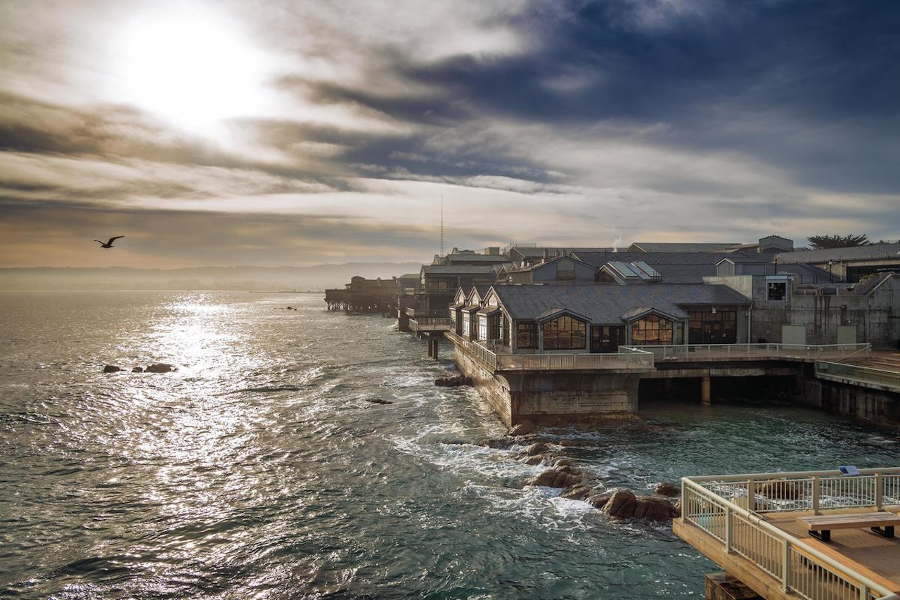 Deck of Monterey Bay Aquarium