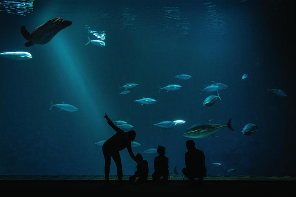 exhibit at Monterey Bay Aquarium