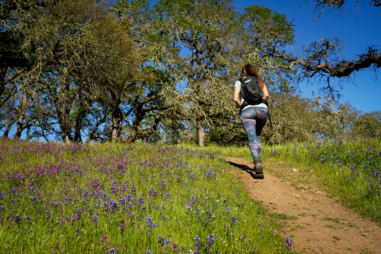 Woman hiking up a trail at Sonoma Valley Regional Park 