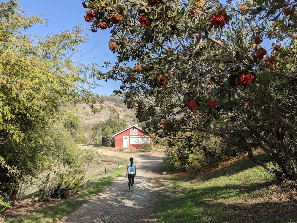 Woman on an urban walk in LA in the hills of Mount Washington 