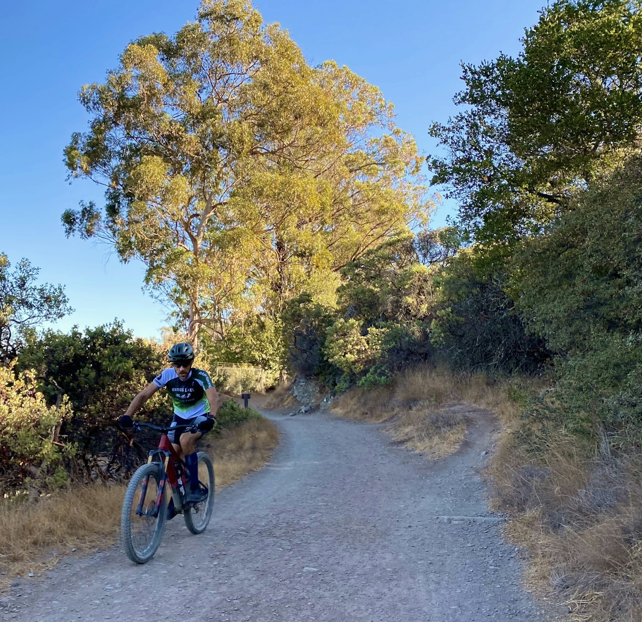 Mountain biker riding upa wide trail at St. Joseph's Hill in Los Gatos Bay Area 