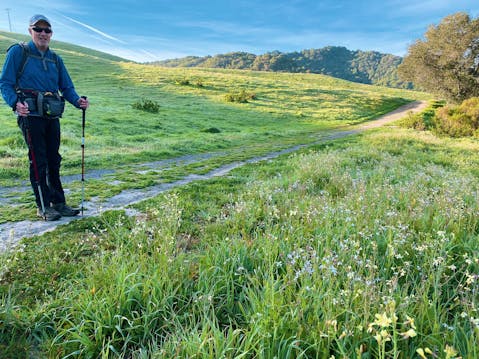 Hiker on a trail with beautiful green hills and wildflowers on the grasses at Carr Ranch in Contra Costa County