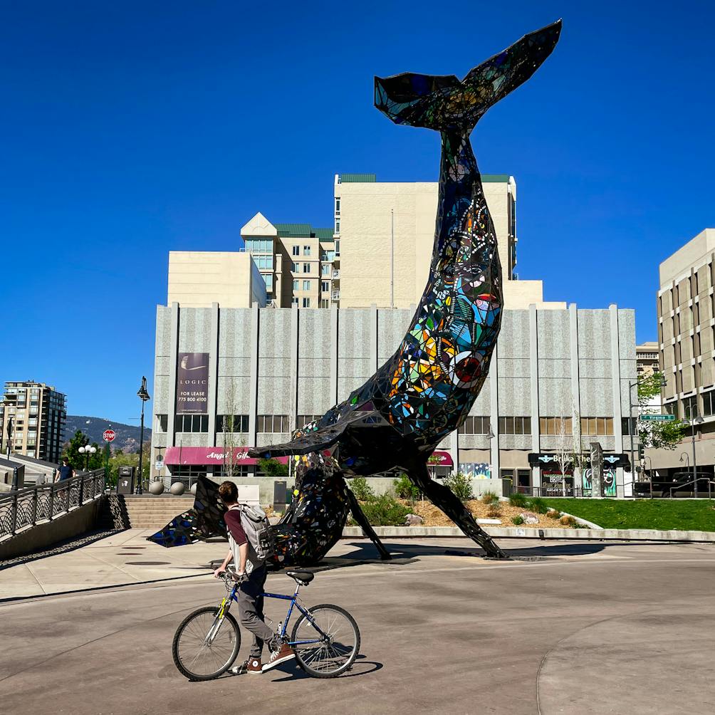 Cyclist by the Burning Man Whale Installation in downtown Reno 