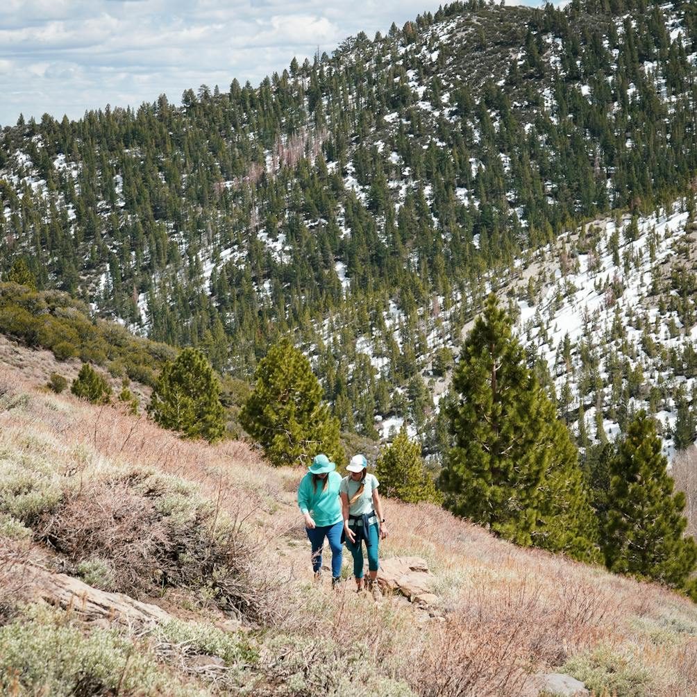 hikers on Thomas Creek Trail in Galena Creek Park