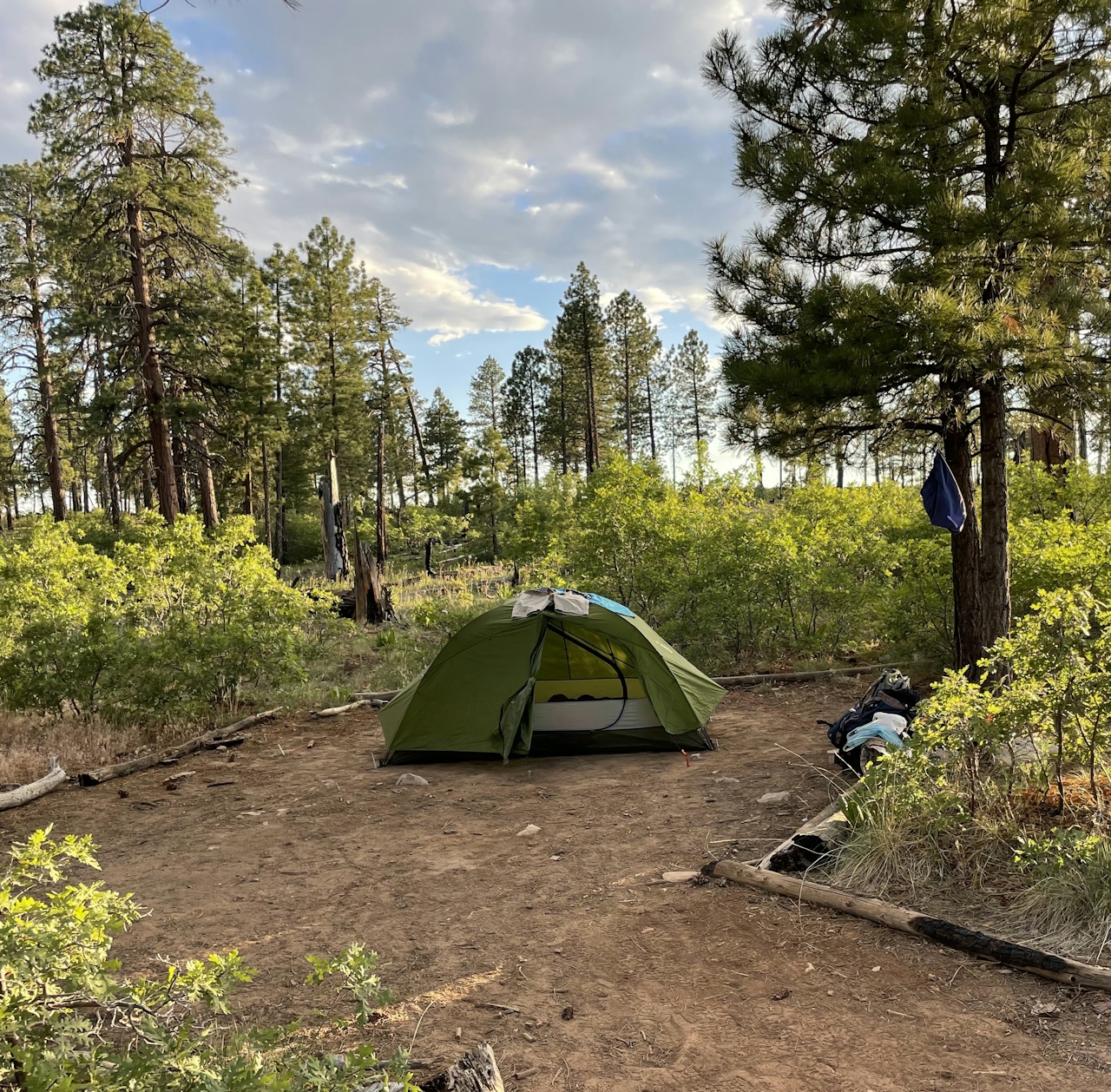 Green tent set up at primitive backpacking campsite on the West Rim at Zion National Park.