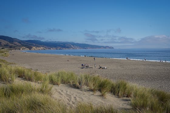 Limantour Beach Point Reyes