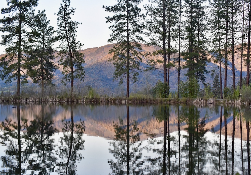 lake in Pacifica Grants Pass