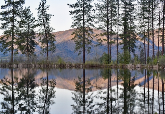 lake in Pacifica Grants Pass