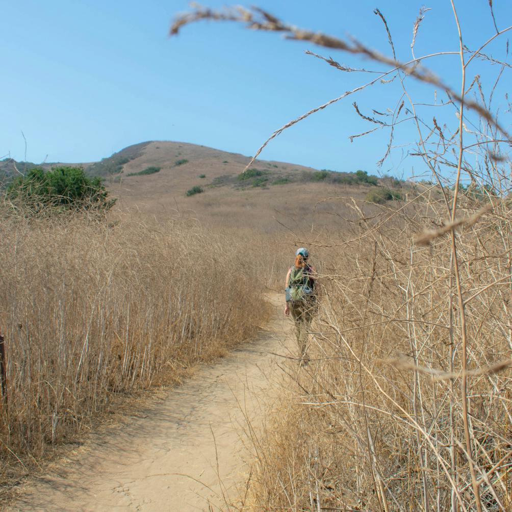 Hiker on a trail at Bommer Canyon Open Space Preserve in Orange County 