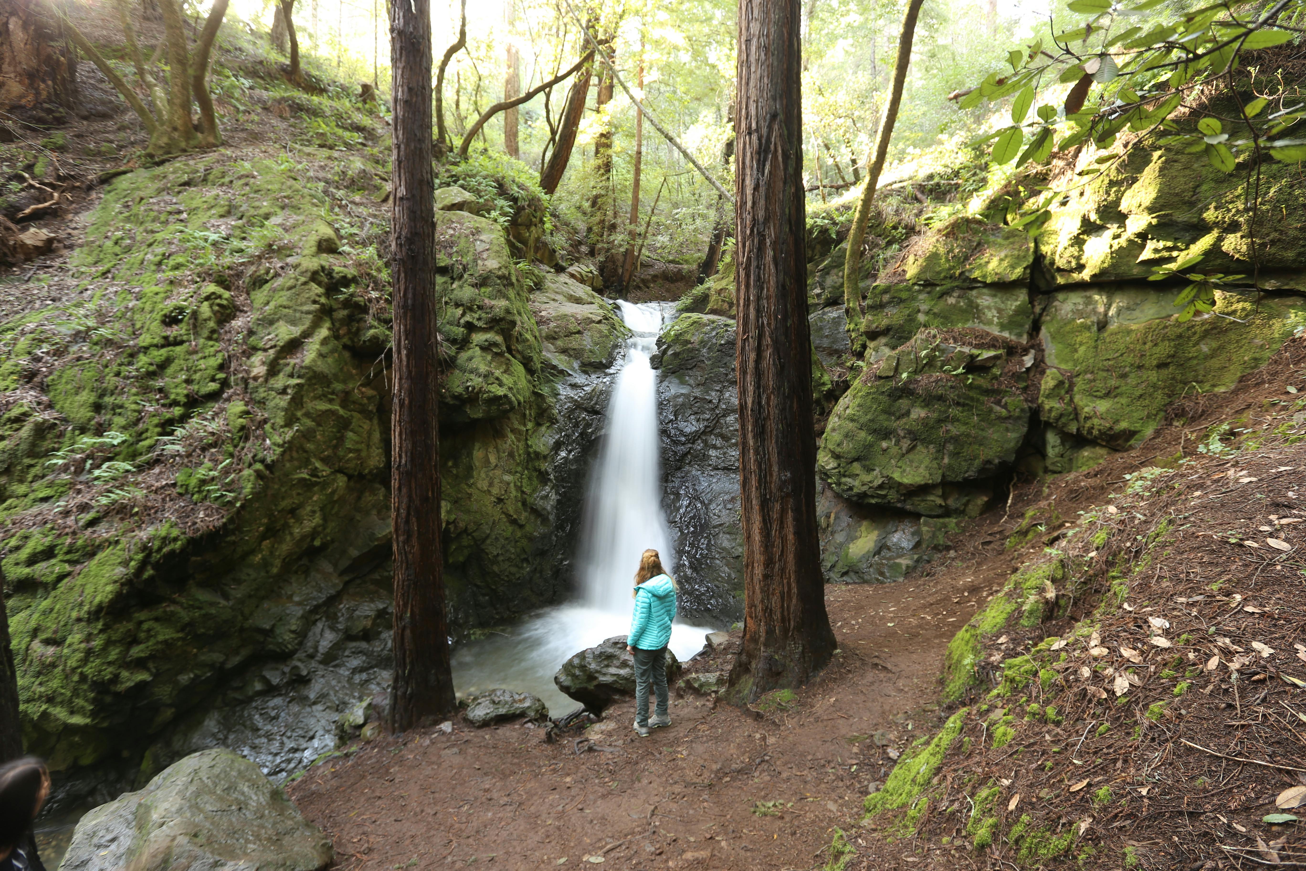 Woman standing and looking at Cascade Falls in Mill Valley