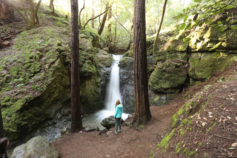Woman standing and looking at Cascade Falls in Mill Valley