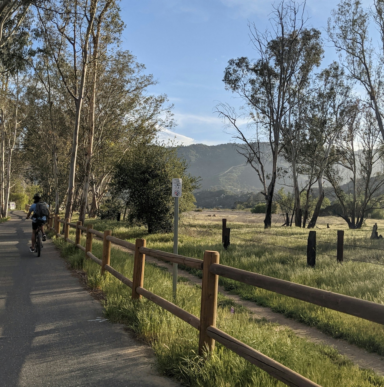 Woman bike riding next to a ranch fence and pastoral landscape with trees on the Ventura to Ojai bike trail