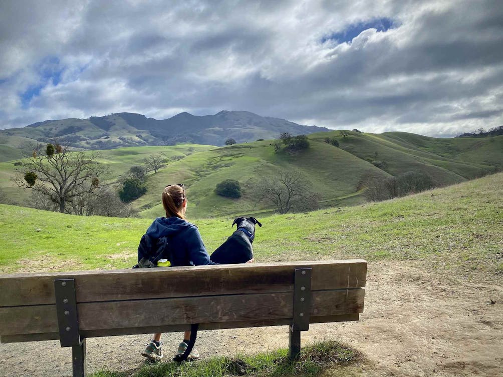 Person and dog sitting at a bench overlooking the green spring hills at Diablo Foothills Regional Park in the East Bay 