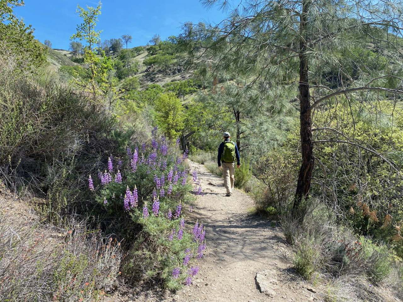 Pinnacles of Spring
